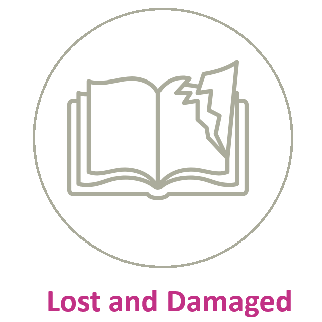 Lost and Damaged Icon